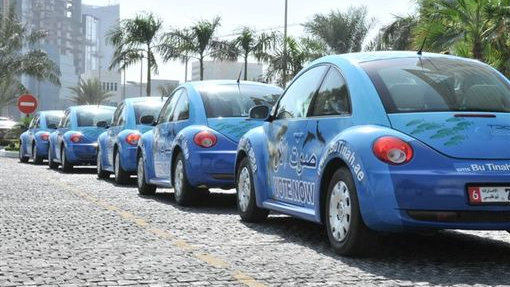 Beetles all in a line