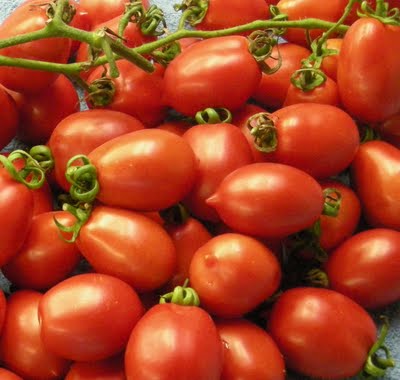Piennolo tomatoes are grown organically in Mount Vesuvius National Park.