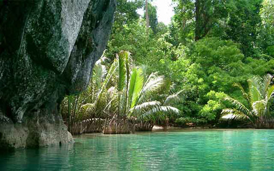 The Puerto Princesa Subterranean River winds through a cave before flowing into the South China Sea 