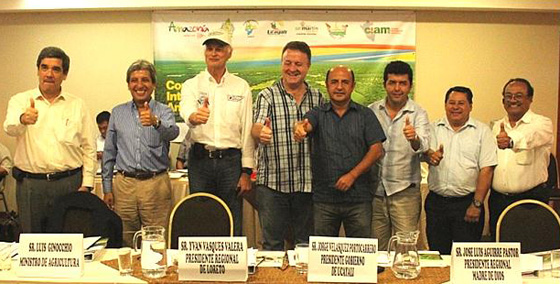 Consejo Interregional Amazónico summit