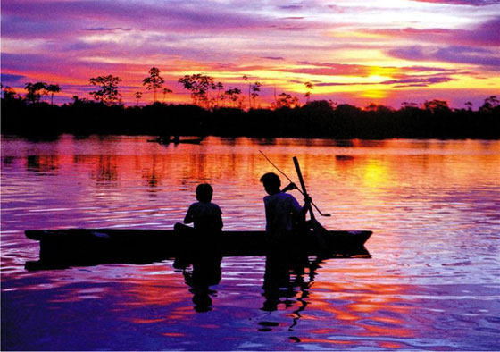 The Amazon is responsible for almost 20 percent of the Earth's fresh water entering the ocean. The Amazon is responsible for almost 20 percent of the Earth's fresh water entering the ocean.