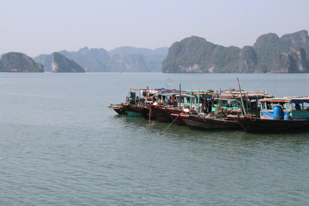 Ha Long Bay is located in a dynamic region of Vietnam that attempts to balance tourism, transport, fisheries with the lives of people who have lived and traded on its waters for countless generations. 